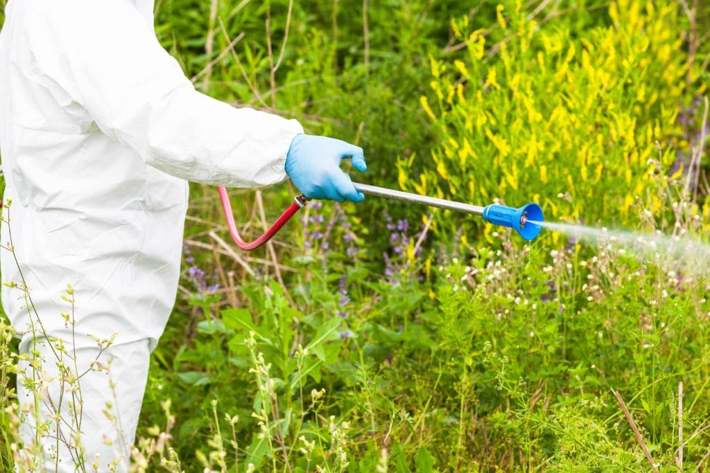 Farmer spraying Paraquat Herbicide