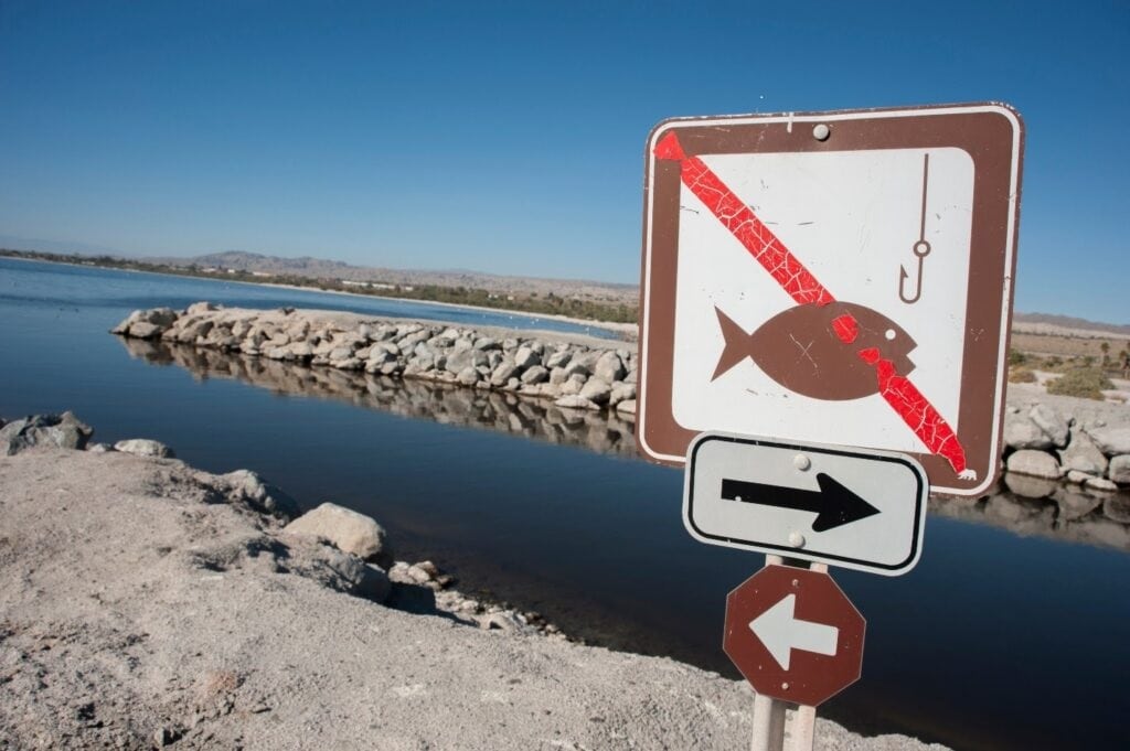 environmental attorneys