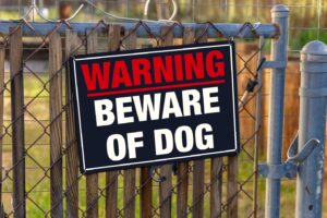 Dog Bite Attorney - Personal Injury Attorney