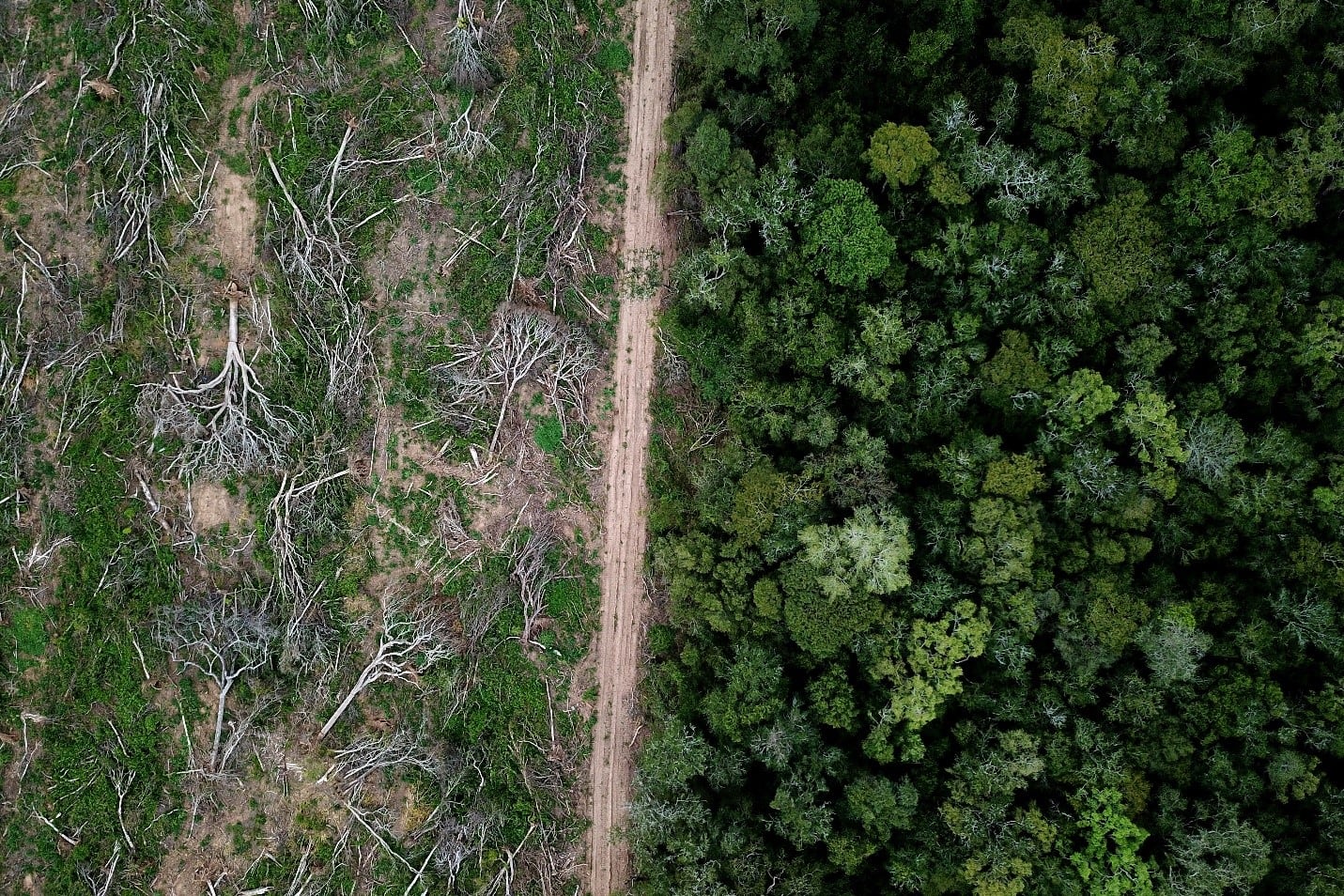 McCune Law Group Environmental Attorneys
