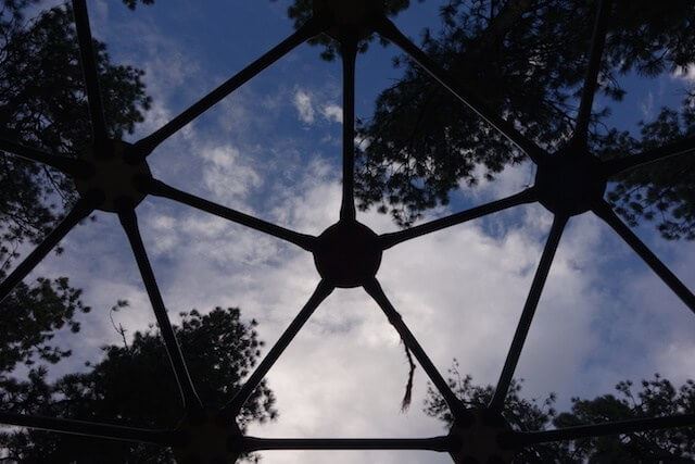 Jungle Gym