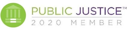 Michele is a Public Justice 2020 Member Public Justice 2020 Member